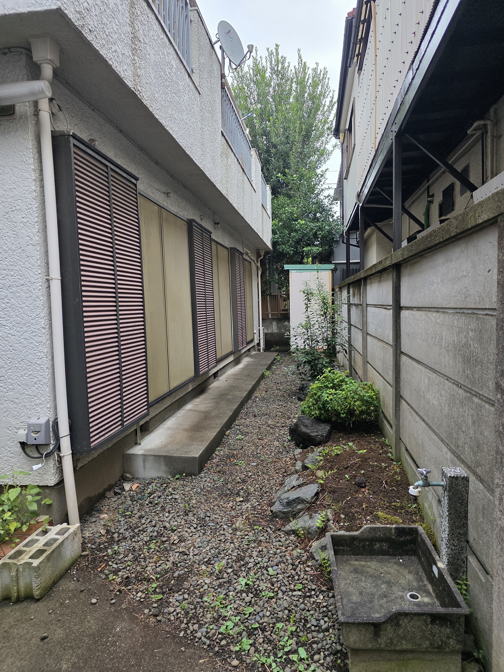 小さな木庭付き(外観)